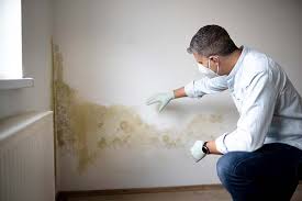 Best Airborne Mold Testing  in La Vale, MD